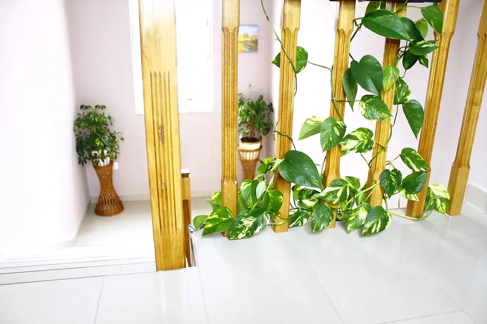 Ferienwohnung in Sukosan  999213196 40733 – Foto 12