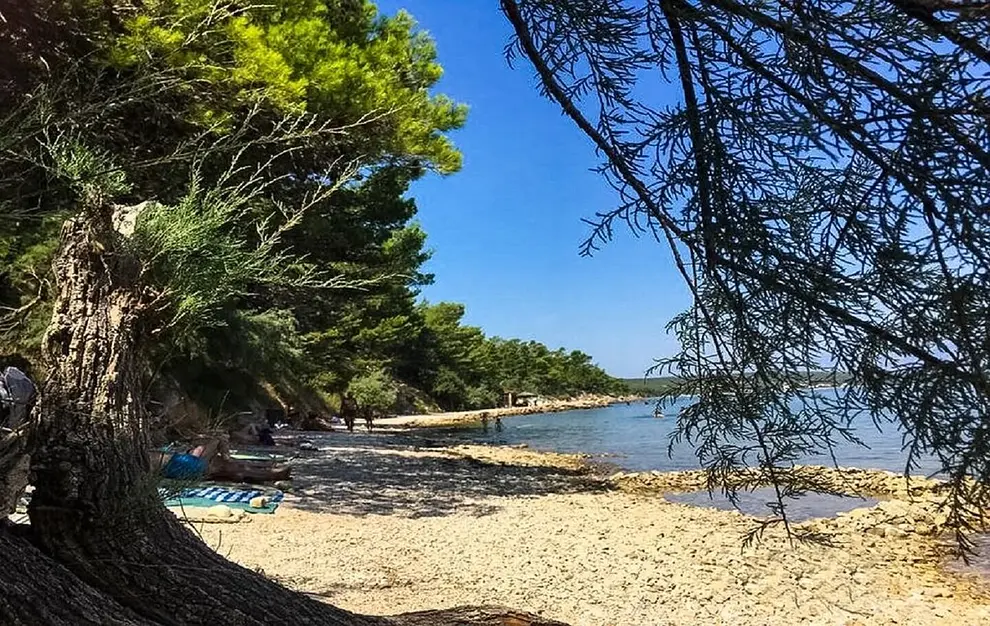 Bereich 1