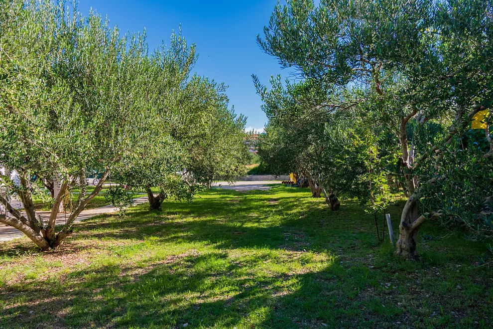 Ferienwohnung in Barbat mit Pool 999241345 43274 – Foto 20