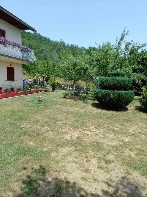 Garten 5