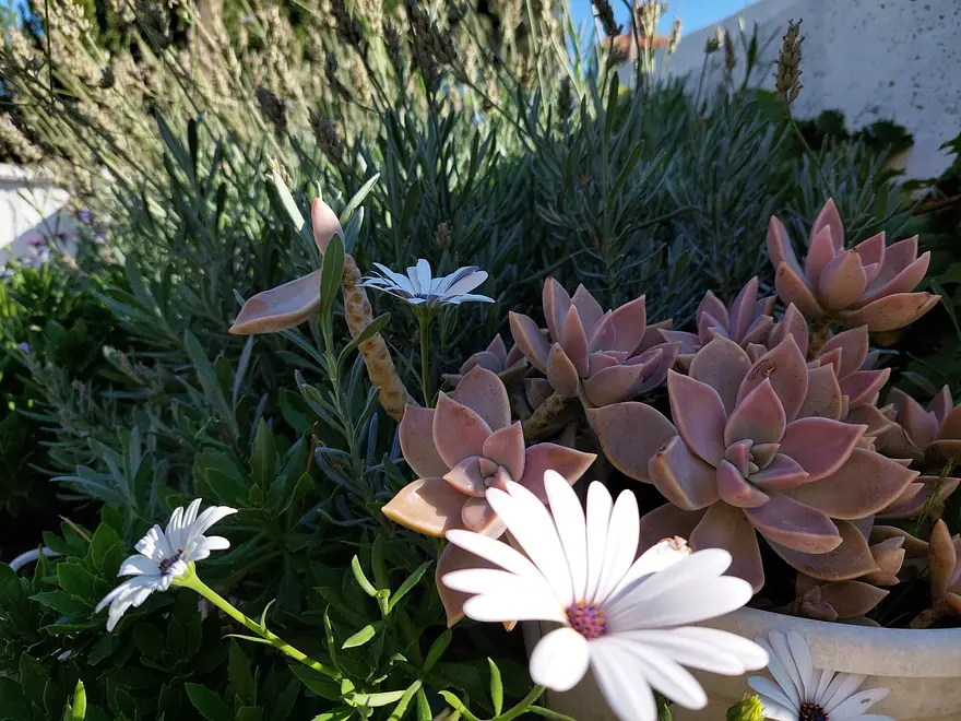 Garten 9